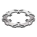 Brake Disc Rear 18-0048