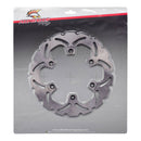 Brake Disc Rear 18-0075