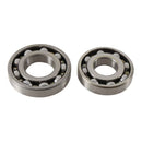 Main Bearing and Seal Kit