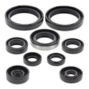 Oil Seal Kit 822316
