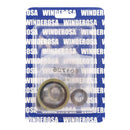 Oil Seal Kit 822374