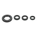 Oil Seal Kit 822395