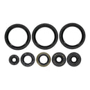Oil Seal Kit 822403