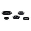 OIL SEAL KIT 822994
