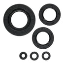 Oil Seal Kit 822997