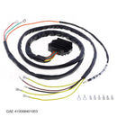 GAE 410068401003