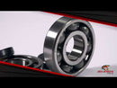 All Balls Racing Crankshaft Bearing Kit (24-1047)